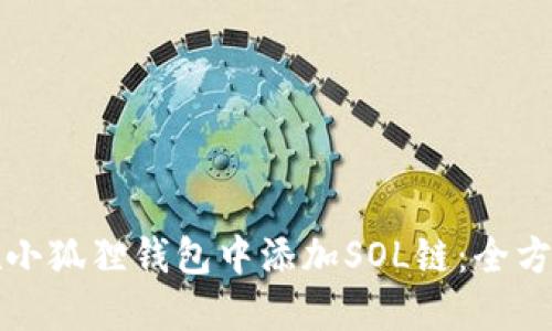 如何在小狐狸钱包中添加SOL链：全方位指南