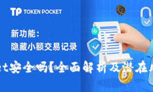 tpWallet安全吗?全面解析及潜在风险分析