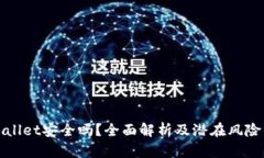 tpWallet安全吗？全面解析及潜在风险分析