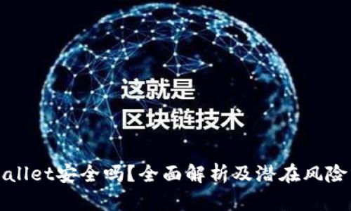 tpWallet安全吗?全面解析及潜在风险分析