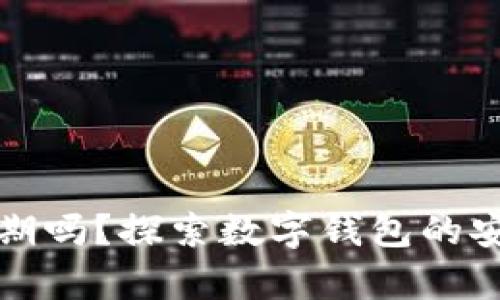 tpWallet会过期吗？探索数字钱包的安全性与有效性