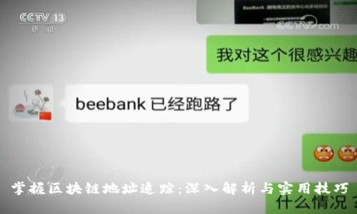 掌握区块链地址追踪:深入解析与实用技巧
