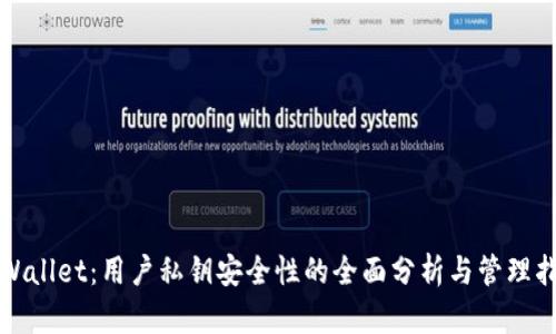 tpWallet:用户私钥安全性的全面分析与管理指南