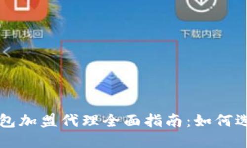 区块链钱包加盟代理全面指南:如何选择与入门