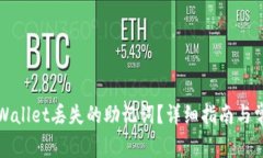 如何找回tpWallet丢失的助记词？详细指南与常见问