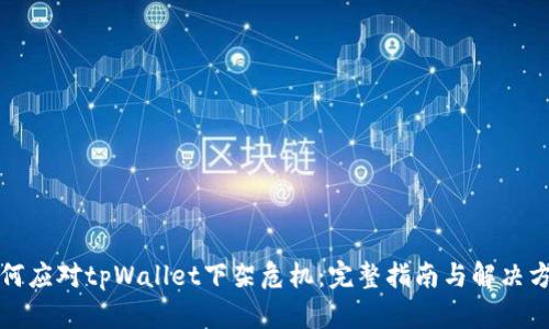 如何应对tpWallet下架危机:完整指南与解决方案