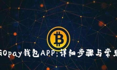 如何安装GOpay钱包APP:详细步骤与常见问题解答