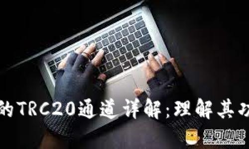 tpWallet中的TRC20通道详解:理解其功能与实用性