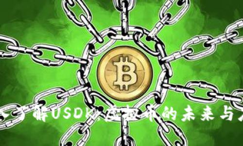深入了解USDK：虚拟币的未来与应用