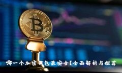 哪一个加密钱包最安全？全面解析与推荐