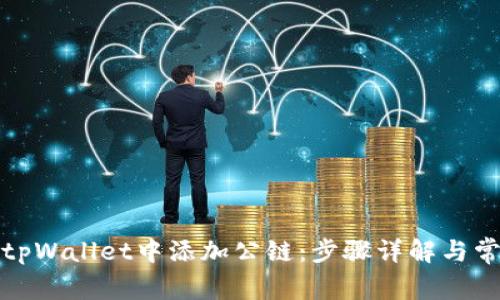 如何在tpWallet中添加公链:步骤详解与常见问题