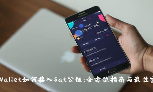 tpWallet如何接入Sat公链:全方位指南与最佳实践