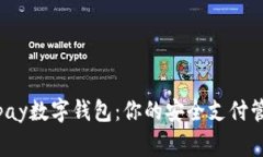 Topay数字钱包：你的安全支付管家
