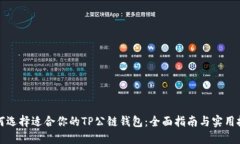 如何选择适合你的TP公链钱包：全面指南与实用技