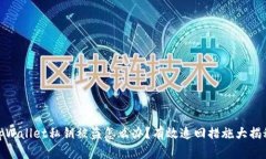 tpWallet私钥被盗怎么办？有效追回措施大揭秘