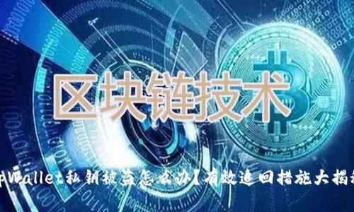 tpWallet私钥被盗怎么办?有效追回措施大揭秘