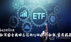 baseline如何安全找回忘记的tpWallet私钥：实用指南