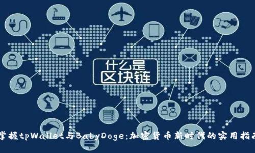 掌握tpWallet与BabyDoge：加密货币新时代的实用指南