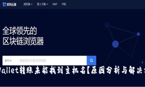 tpWallet转账未能找到主机名?原因分析与解决方案