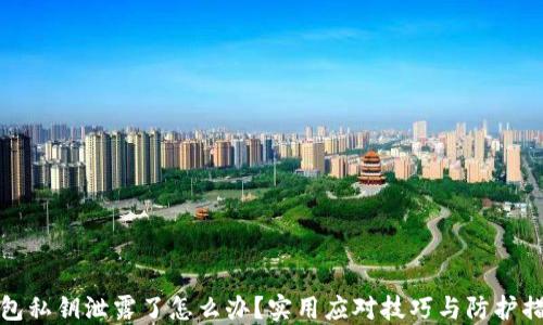 
钱包私钥泄露了怎么办？实用应对技巧与防护措施