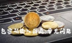 : 破解沃钱包密码输入困局：常见问题与解决方案
