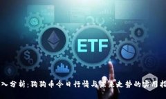 深入分析：狗狗币今日行情与未来走势的实用指