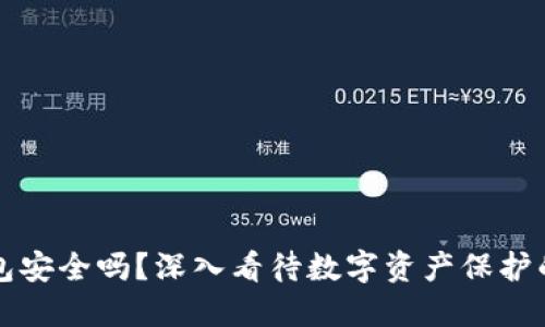 虚拟币钱包安全吗？深入看待数字资产保护的实用价值