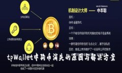 tpWallet中狗币消失的原因与解决方案