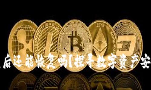 tpWallet被盗后还能恢复吗？探寻数字资产安全与应对措施