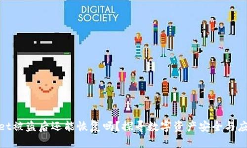 tpWallet被盗后还能恢复吗？探寻数字资产安全与应对措施