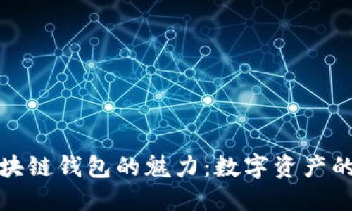 探索区块链钱包的魅力：数字资产的护航者