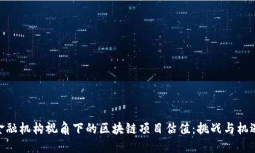 金融机构视角下的区块链项目估值：挑战与机遇