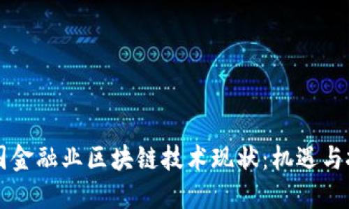 中国金融业区块链技术现状：机遇与挑战