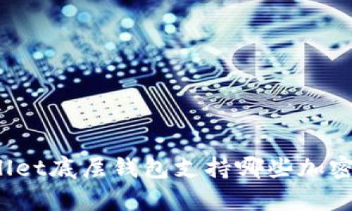 tpWallet底层钱包支持哪些加密货币？