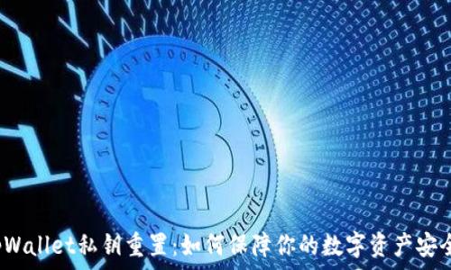   
tpWallet私钥重置：如何保障你的数字资产安全？