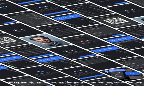  中国数字货币钱包大揭秘：最适合你的选择