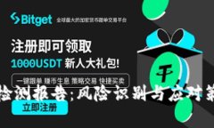 : tpWallet检测报告：风险识别与应对策略全面解读