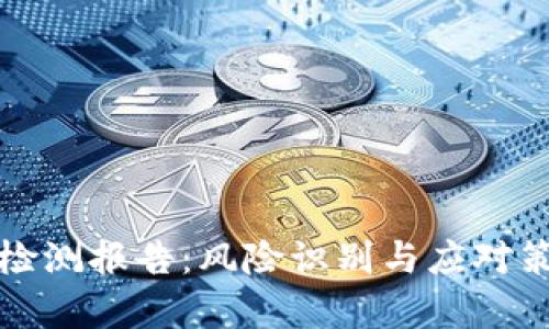 : tpWallet检测报告：风险识别与应对策略全面解读