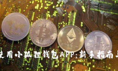 如何高效使用小狐狸钱包APP:新手指南与实用技巧