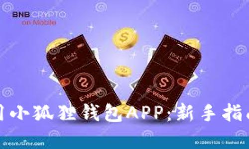 如何高效使用小狐狸钱包APP：新手指南与实用技巧