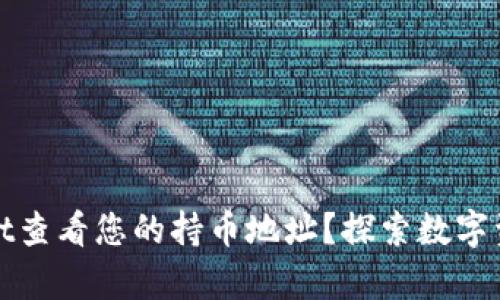 如何使用tpWallet查看您的持币地址？探索数字资产管理的便利性